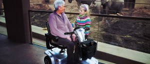 MEDICAL THIRY-DEPLACEMENT---SCOOTER-LEO-INVACARE