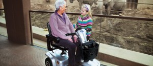 MEDICAL THIRY-DEPLACEMENT---SCOOTER-LEO-INVACARE