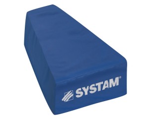 SYSTAM COUSSIN ABDUCTION