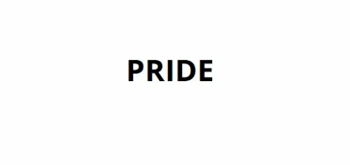 Pride - pièces détachées - fauteuil roulant électrique